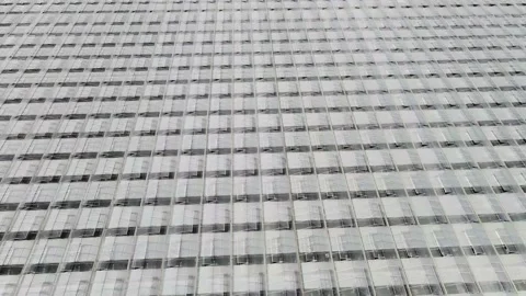 Drone flight over a complex of greenhouse Stock Footage 135497451