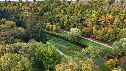 Drone flight over the Concise Forest and river in Saint-Berthevin during autumn Stock Footage 320666904