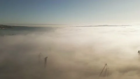Drone flight over the cranes in port industrial zone in morning fog Stock Footage 227709458
