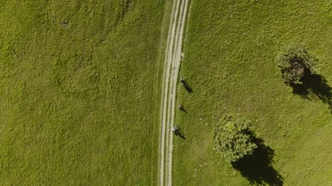 Drone flight over cyclists on a dirt road through a field Stock Footage 317832376