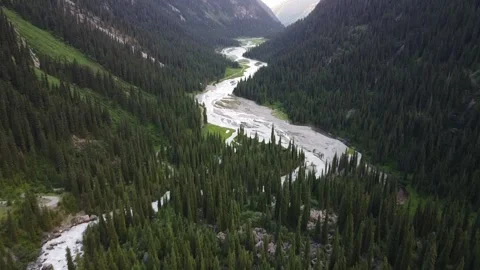 Drone Flight Over Deep Forested Gorge And River. Kyrgyzstan, Karakol Stock Footage 332943451