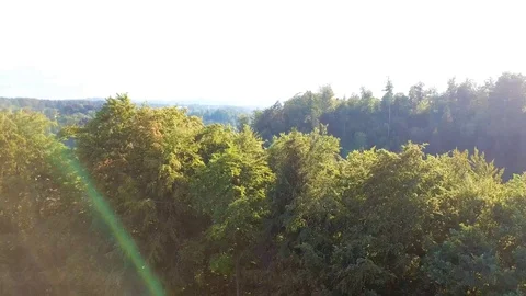 Drone flight over dense green forest. Stock Footage 107085086