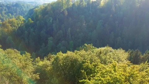 Drone flight over dense green forest. Stock Footage 107085109