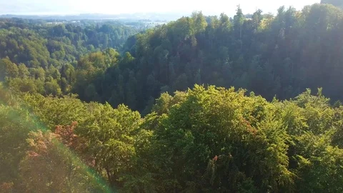Drone flight over dense green forest. Stock Footage 107085121