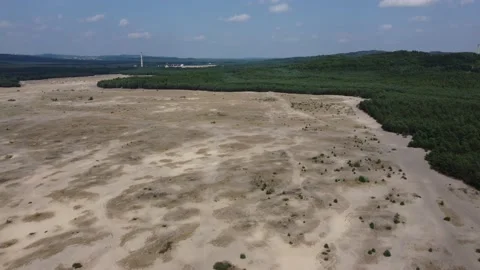 Drone flight over the desert Błędów (Pustynia Błędowska) Stock Footage 158243846