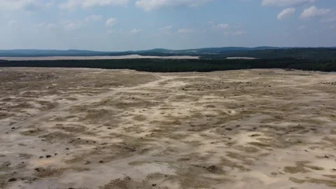 Drone flight over the desert Błędów (Pustynia Błędowska) Stock Footage 158243896