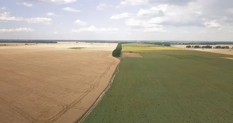 Drone flight over a dirt road separating a wheat and sunflower field on a summer Stock Footage 135648170