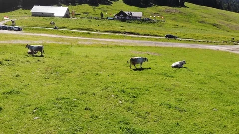 Drone flight over Dolomite pastures Stock Footage 112332644