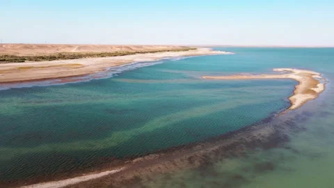 Drone flight over the dry-type playa and the lake Stock Footage 218629469