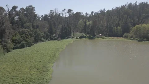 Drone flight over edge of Sausalito lagoon on sunny day Stock Footage 235948616
