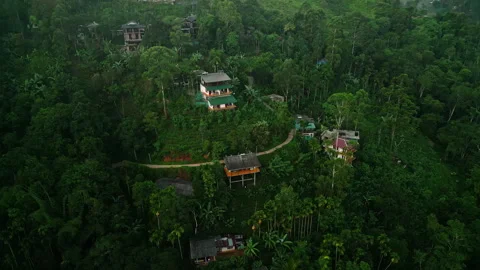 Drone flight over Ella mountain peaks at sunrise. Golden bathes dense Lankan Stock Footage 274538696