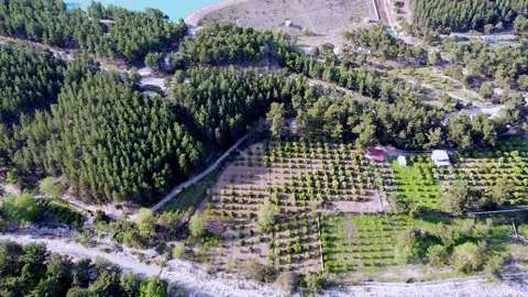 Drone flight over an emerald mountain lake Stock-Footage 153066575