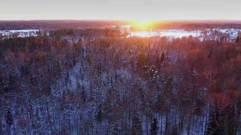Drone flight over an endless forest in winter. The red sun shines in the frame. Stock Footage 200932853