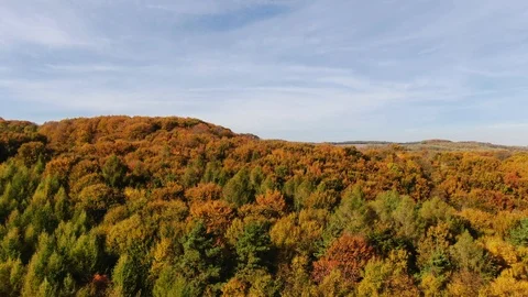 Drone flight over fall forest. Stock Footage 118080793