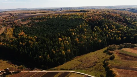 Drone flight over fall forest. Stock Footage 118086404