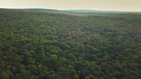 Drone flight over fall forest. Autumn leaves and trees. Orange, Red, Yellow and Stock Footage 136647605