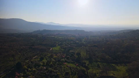 Drone Flight Over Farmland and Forest in Extremadura at Sunrise Stock Footage 336565765