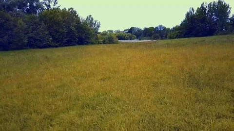 DRONE FLIGHT OVER FIELD 4k Video stock 112147819