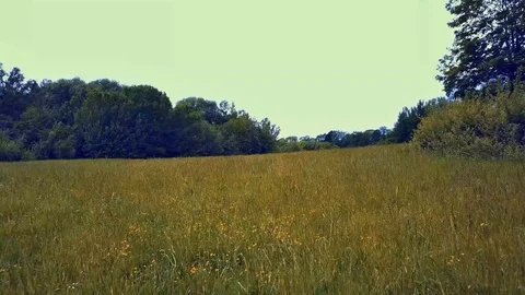 DRONE FLIGHT OVER FIELD 4k Video stock 112147993