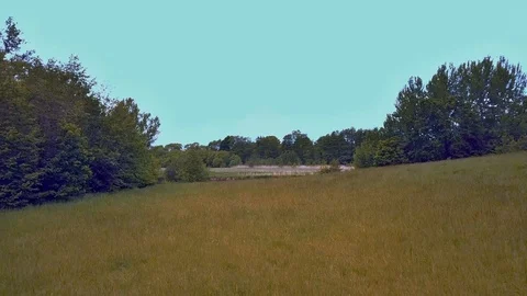 DRONE FLIGHT OVER FIELD 4k Stock Footage 112150725