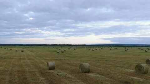 Drone flight over a field with cylindrical haystacks in autumn. 動画素材 147638832