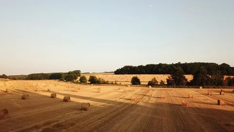 Drone flight over field Stock Footage
