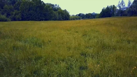 DRONE FLIGHT OVER FIELD Stock Footage 112147583