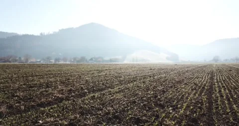 Drone flight over field Stock Footage 293590694