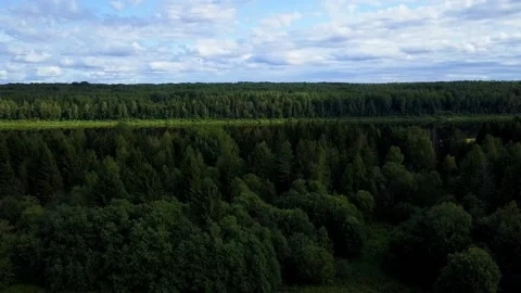 Drone flight over a field river and forest, in the country Stock Footage 142895886