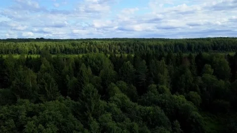 Drone flight over a field river and forest, in the country Stock-Footage 142895887