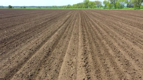 Drone Flight over a field with strips of plowed land at close range. Stock Footage 199433069