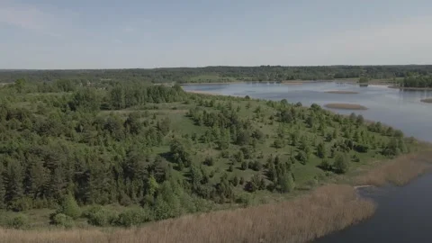 Drone flight over fields and islands on Braslav lakes in summer. lakes among man Stock Footage 274187888