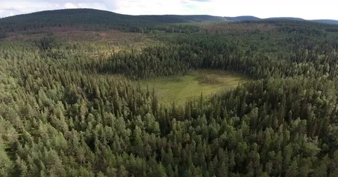 Drone flight over finlands forest with glade and moorland Stockbeeldmateriaal 70156432