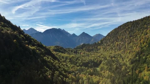 Drone Flight Over Forest with Alpine Mountains in the Background Stock Footage 319789673