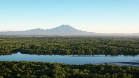 Drone flight over forest and river Видео 146135978