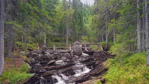 Drone Flight Over Forest Bridge and Stream in Stor Mor Fossen, Norway Stock Footage 319943283