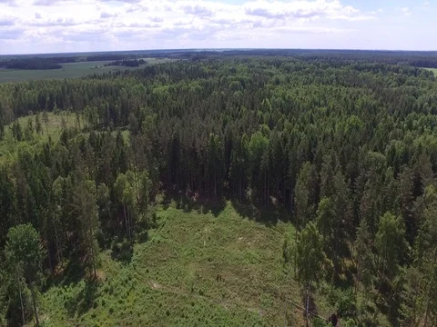 Drone flight over the forest Stock Footage 85087940
