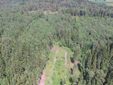 Drone flight over the forest Stock Footage 85089551