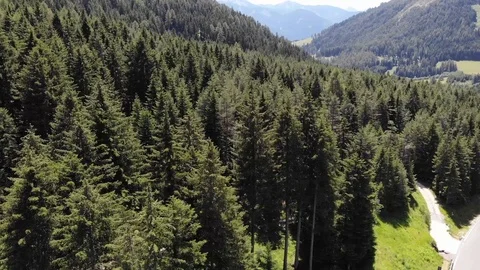 Drone flight over a forest Stock Footage 112332787