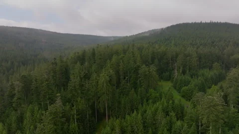 Drone flight over forest Stock Footage 269507357