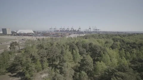 Drone flight over forest, the Gdańsk port - Pomerania Stock Footage 165271438