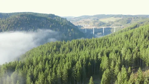 Drone flight over forest hills with highway bridge and morning fog Stock Footage 323868758