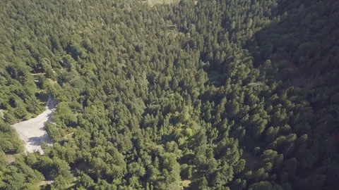 Drone flight over a forest in a hilly area 動画素材 97112406