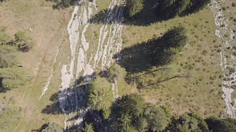 Drone flight over a forest in a hilly area Video stock 97116600