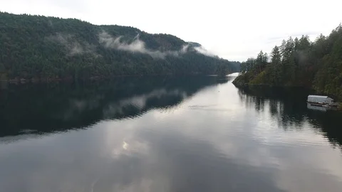 Drone flight over forest lake tilts down to water Video stock 126981781