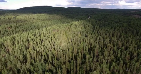 Drone flight over forest with lakes and moorland Stockbeeldmateriaal 70156835