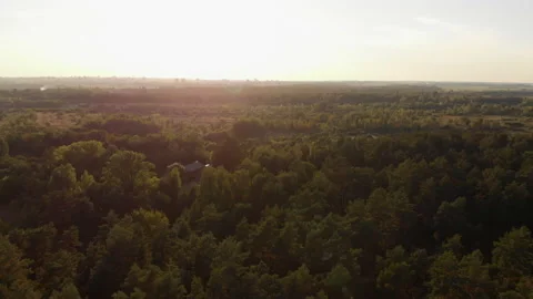 Drone flight over a forest in a mixed forest with a view of the setting sun Stock Footage 169500454