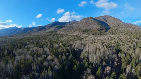 Drone flight over the forest to the mountains Stock Footage 126619329