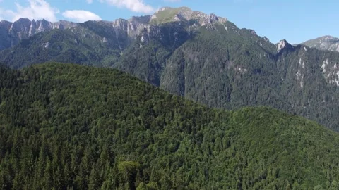 Drone flight over forest near cabana diham, romania Stock Footage 313531146
