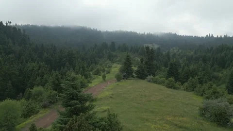 Drone Flight Over Forest Path in Misty Greek Mountains Stock Footage 321058049